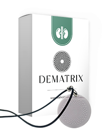 DeMatrix-Gesunde Nieren