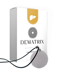 DeMatrix-Gesunde Leber